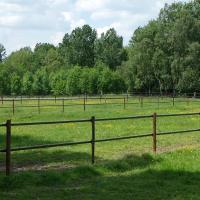 HIPPO SAFETY FENCE INNOVATIVES BAND FÜR DEN ZAUN